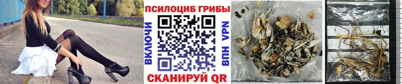 Псилоцибиновые грибы MAGIC MUSHROOMS  Унеча 