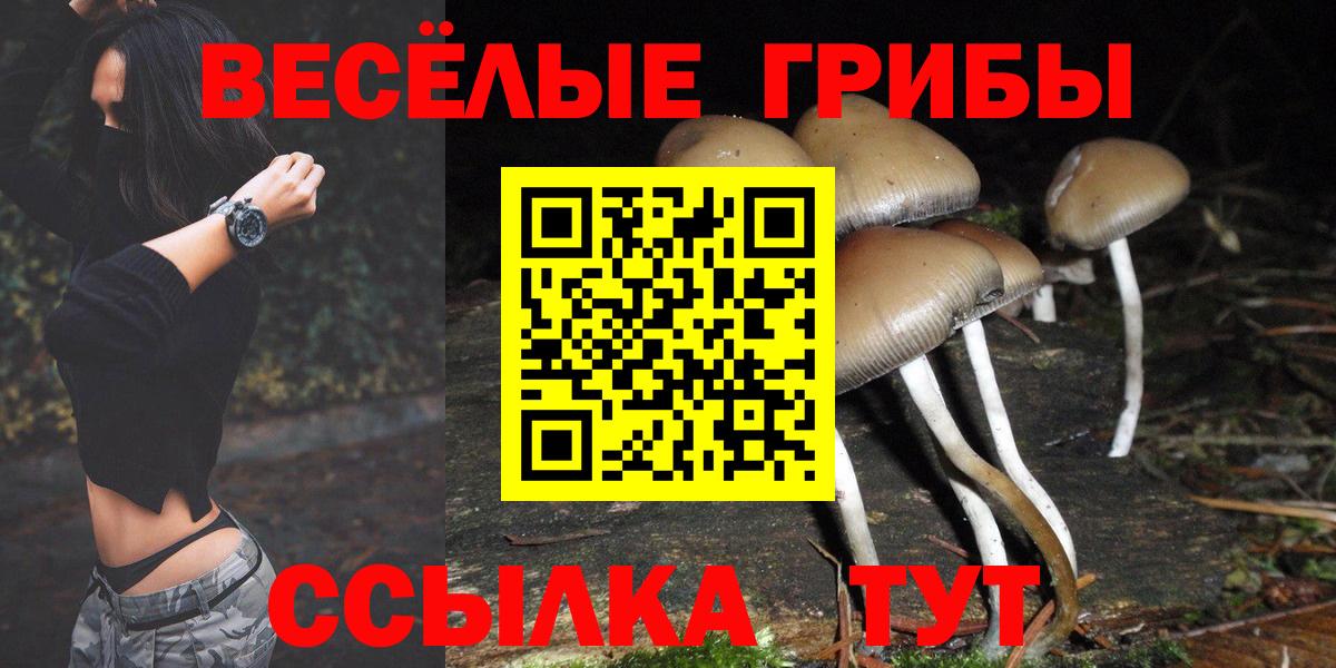 Псилоцибиновые грибы GOLDEN TEACHER Унеча