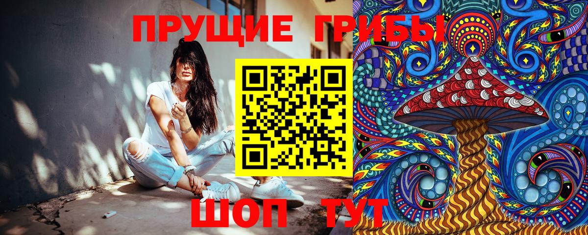 Унеча  Псилоцибиновые грибы Cubensis  Вход с VPN 