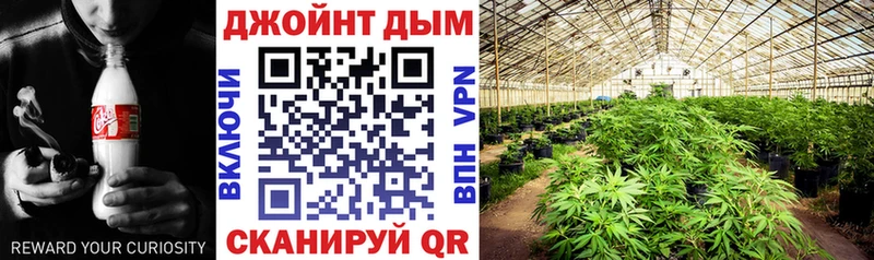 МАРИХУАНА SATIVA & INDICA  Унеча 